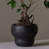 Villa Kuro Vessel