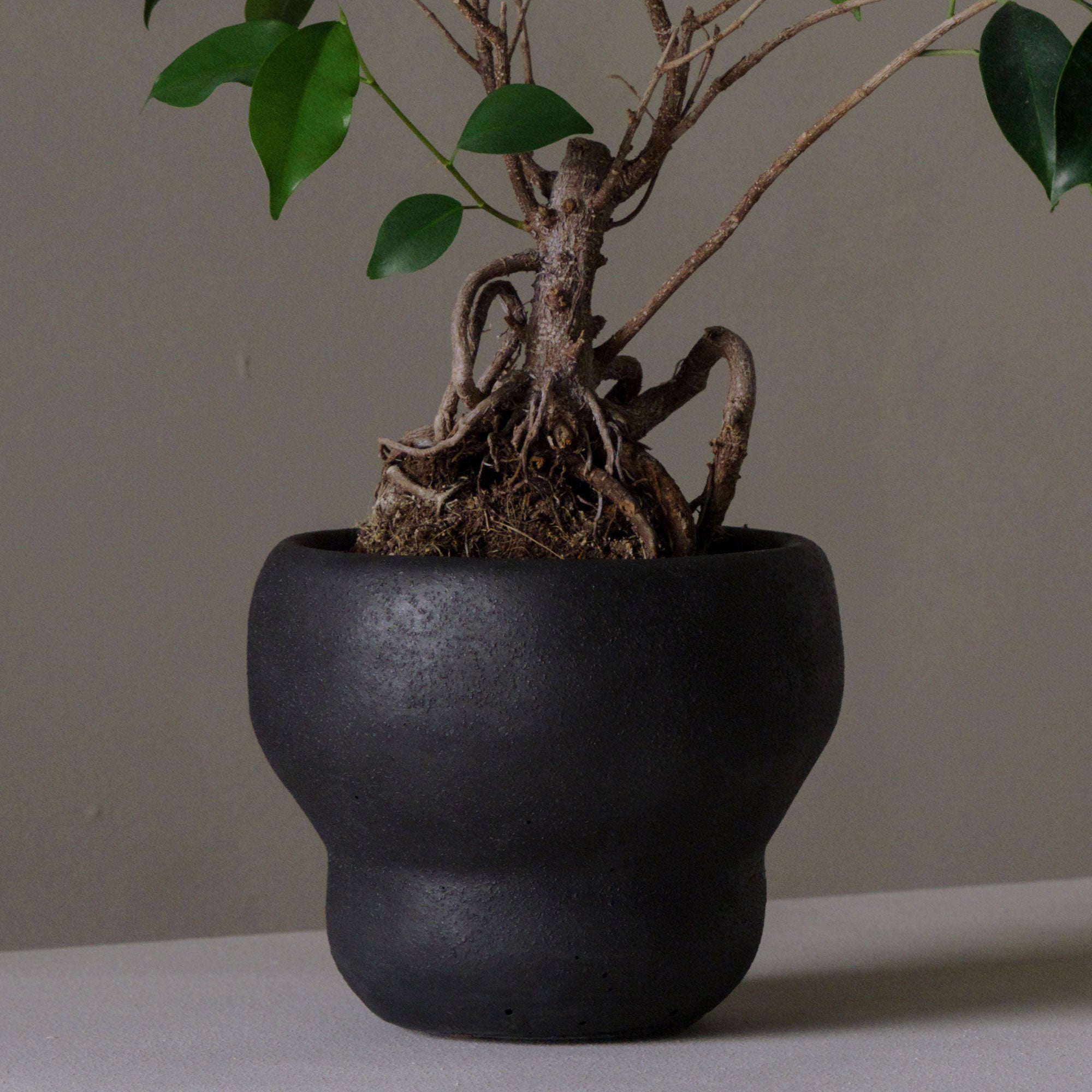 Villa Kuro Vessel